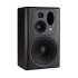 LSR monitors LSR monitors
